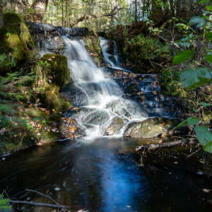 Z72_0197-HDR