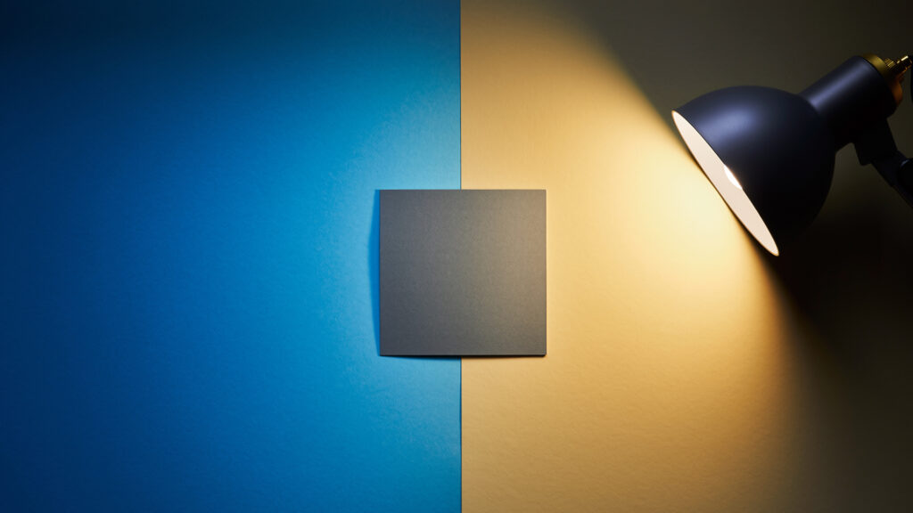 Example of white balance with cool blue shade on one side and warm indoor light on the other, centered gray card showing neutral color.